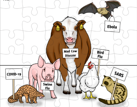 PETA's Puzzle.