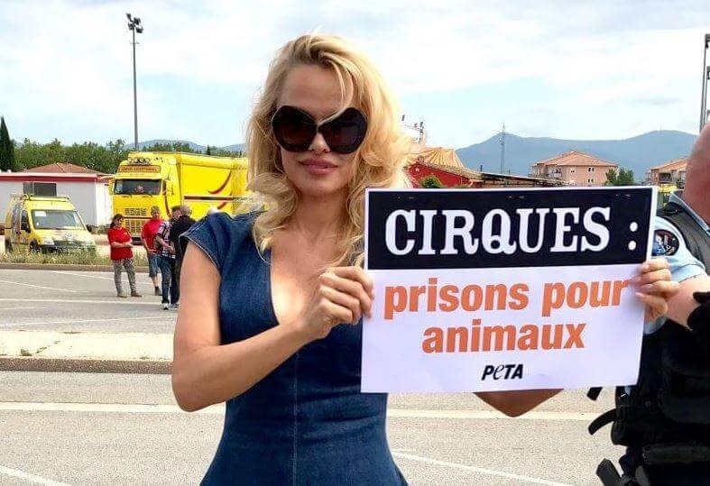 Pamela Anderson protests animal circuses in France.