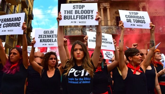 Pamplona 2025: What to Expect at the Running of the Bulls