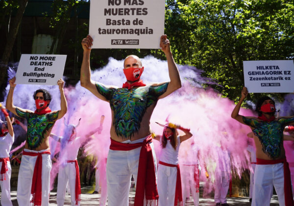 Colourful Celebration Marks Cancelled Bullfights in Pamplona