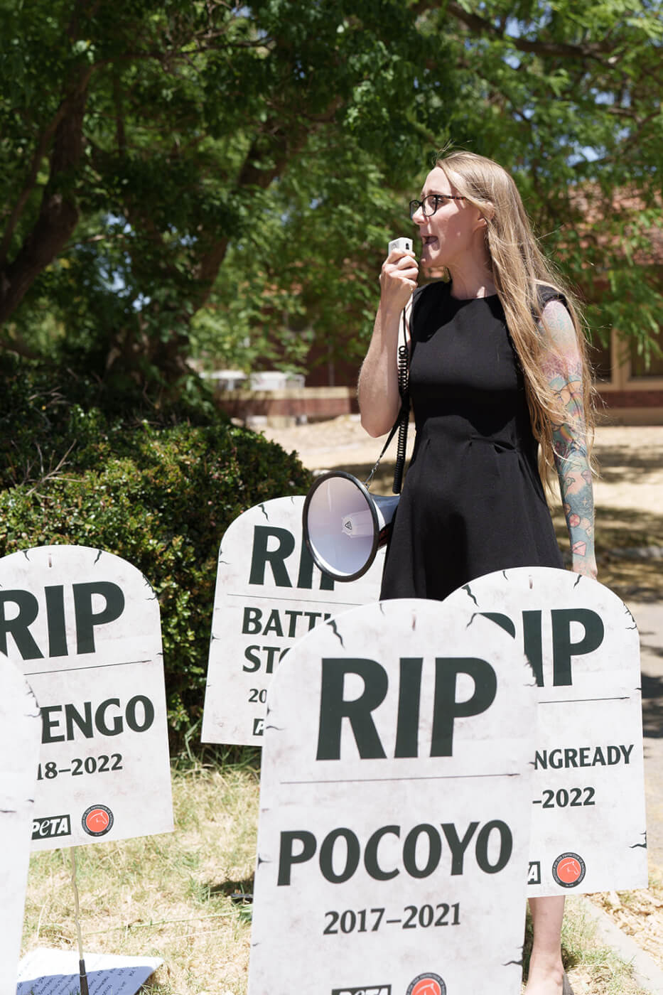 ‘Horse Graveyard’ Haunts Deadly Perth Cup News PETA Australia