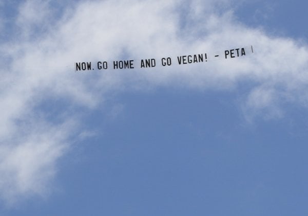 A photo of a banner that reads "Now, Go Home And Go Vegan!"