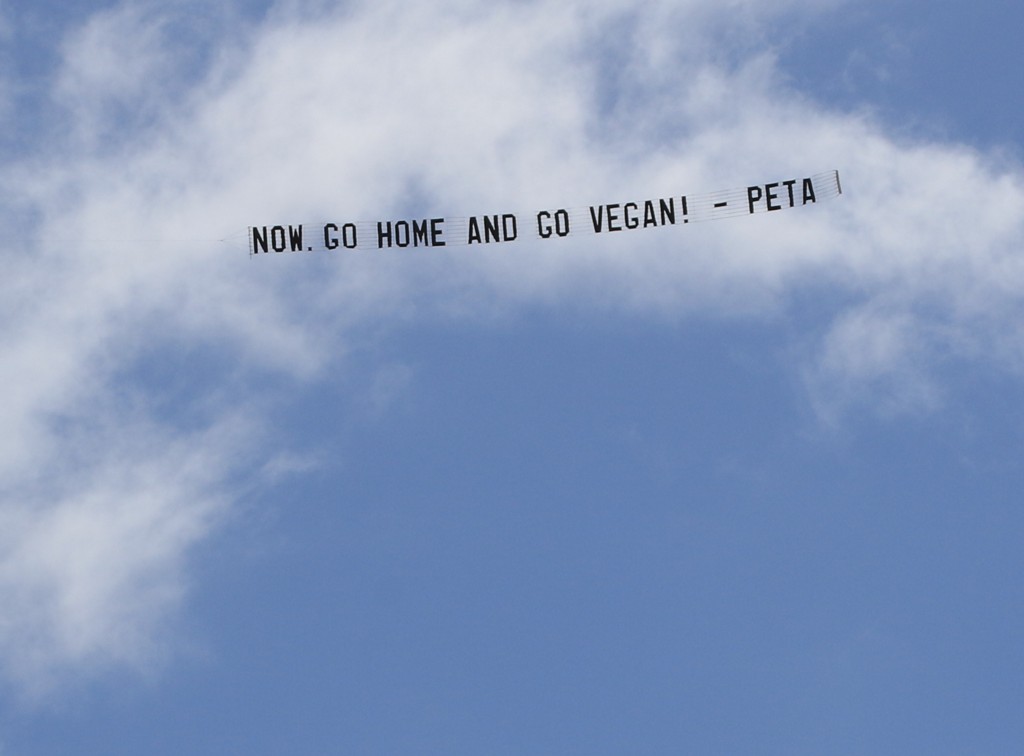 Flying Banner Urges Voters ‘Now Go Home and Go Vegan!’