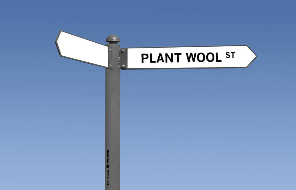a white street sign reads "plant wool st"