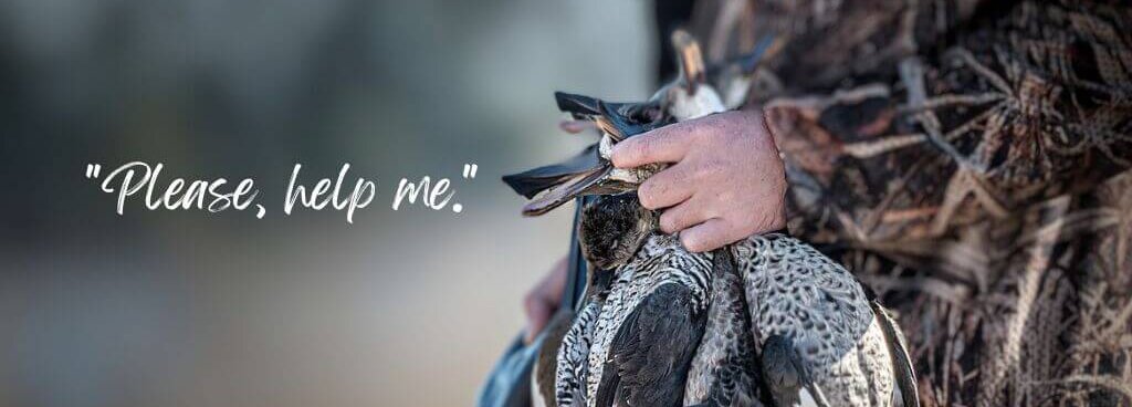a hunter holds multiple ducks by their necks. Text says "please help me"