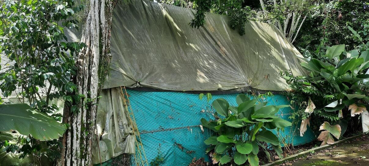 A makeshift enclosure consisting of a chain-link fence topped with construction mesh and covered with plastic sheets.