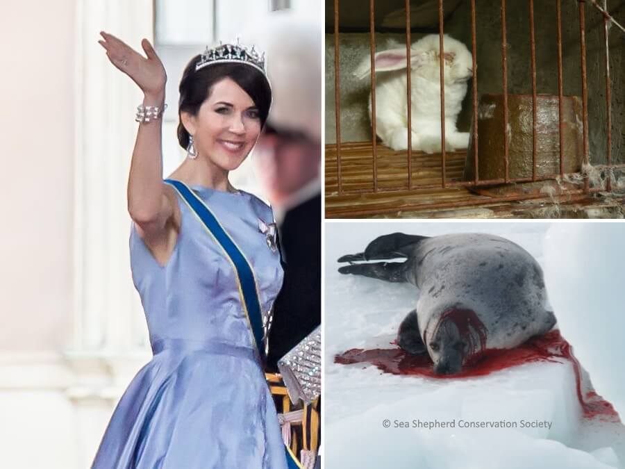 Princess Mary, Give Fur a Royal Wave Goodbye