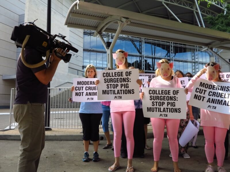 PETA's RACS protest.