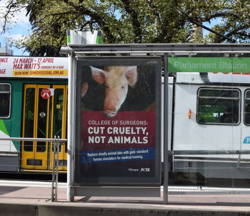 PETA RACS Tram Ad Melbourne