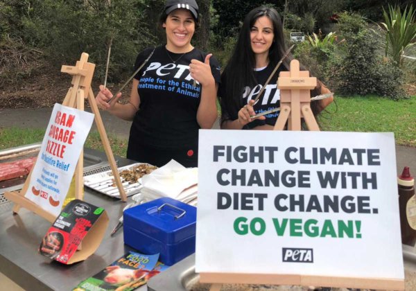 Raising Money for Bushfire Victims