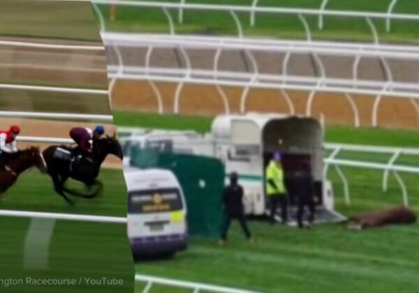 Horses Injured for Melbourne Cup Carnival