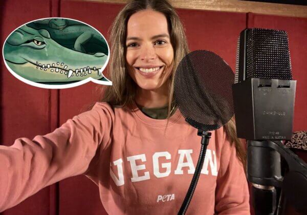 Robyn Lawley in the recording studio for PETA. Inset: animated image of a crocodile crying.