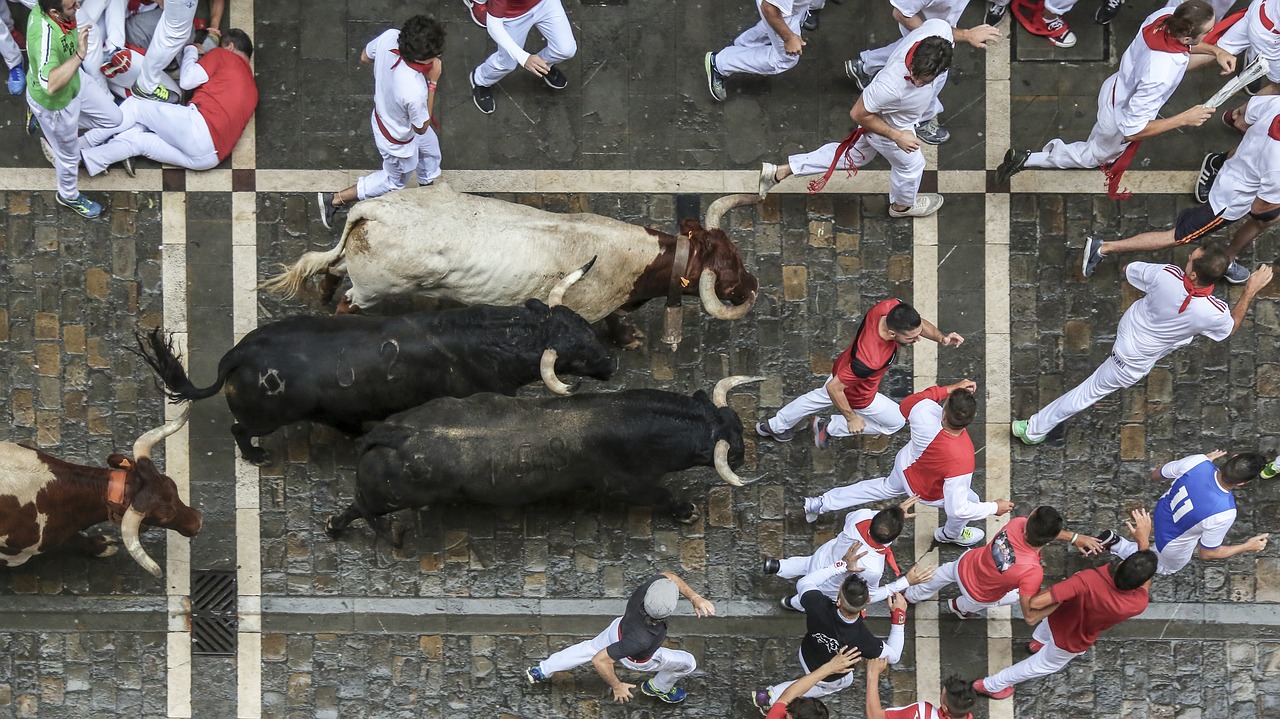 Running of the Bulls in Pamplona.