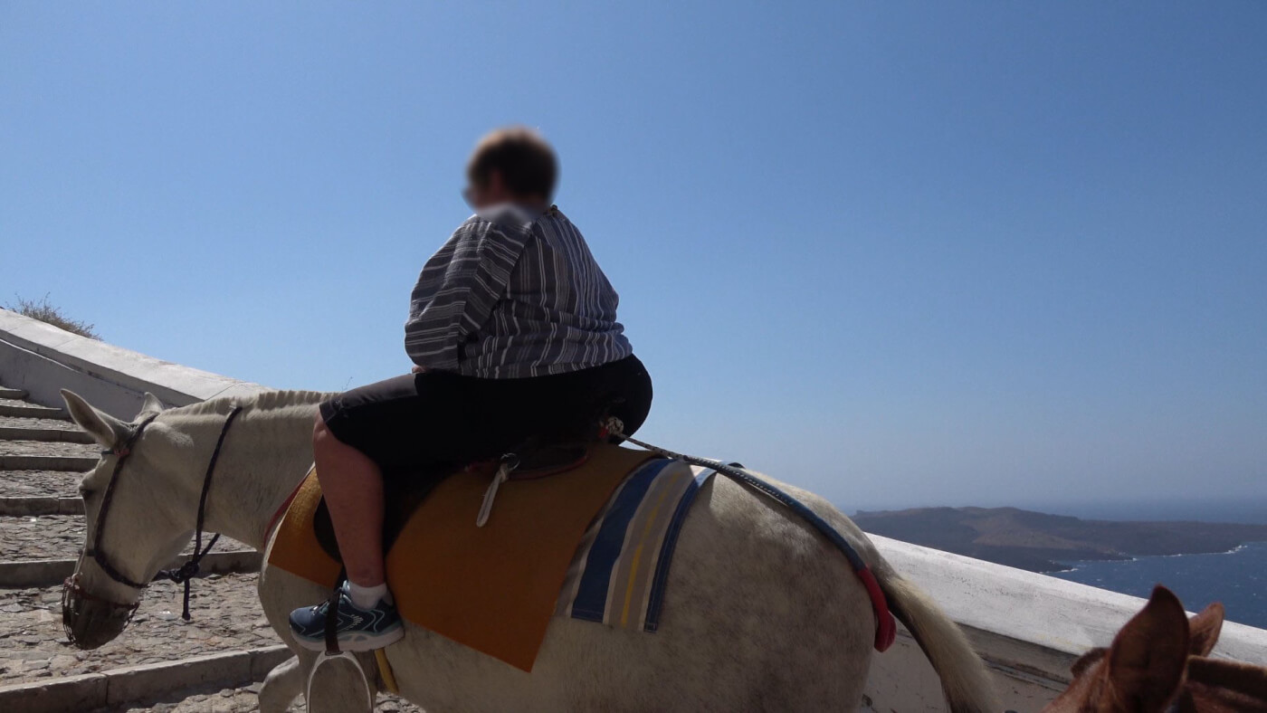 New laws about putting too much weight on donkeys and mules have not been enforced.