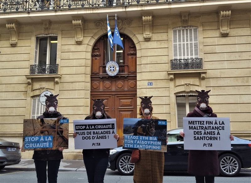 Demonstrators descend on Greek embassy in Paris