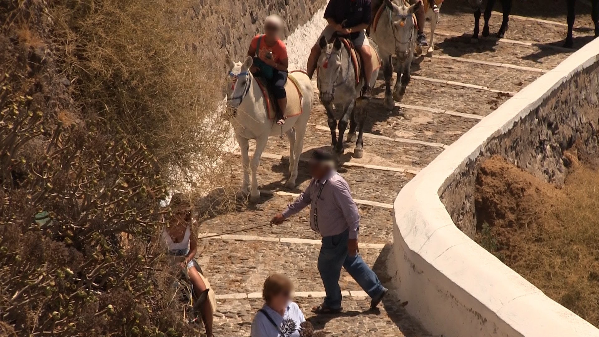 Eyewitnesses documented several situations in which walkers were forced to one side or almost pushed over or trampled by donkeys and mules.