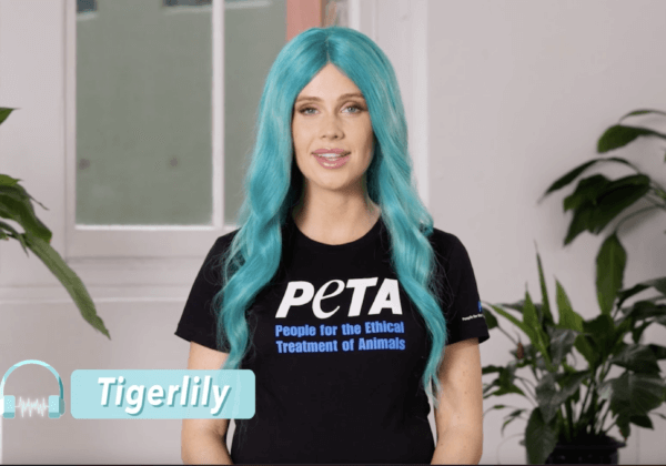 Pregnant Tigerlily Says ‘Not Your Mum, Not Your Milk’