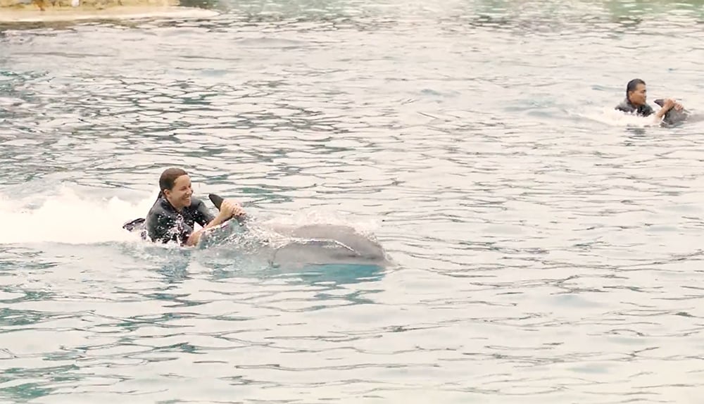A photo of human adults riding on the backs of dolphins at Sea World.