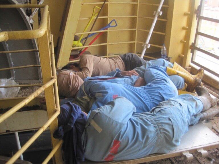 Workers Sleep on a Live Export Ship