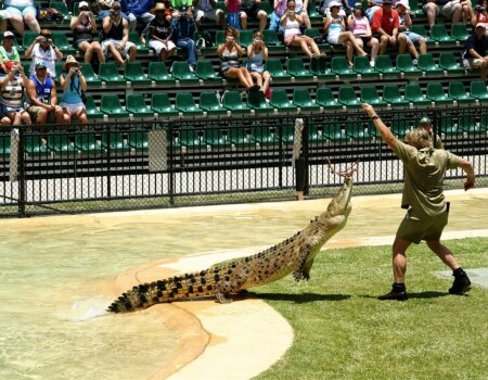 Steve Irwin at Australia Zoo