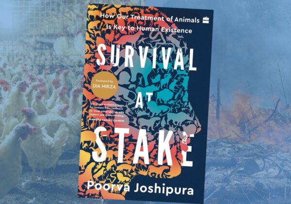 ‘Survival at Stake’ Is Available for Preorder NOW
