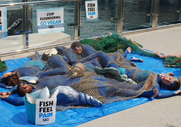 Protesters ask people to leave animals off their plates this Christmas.