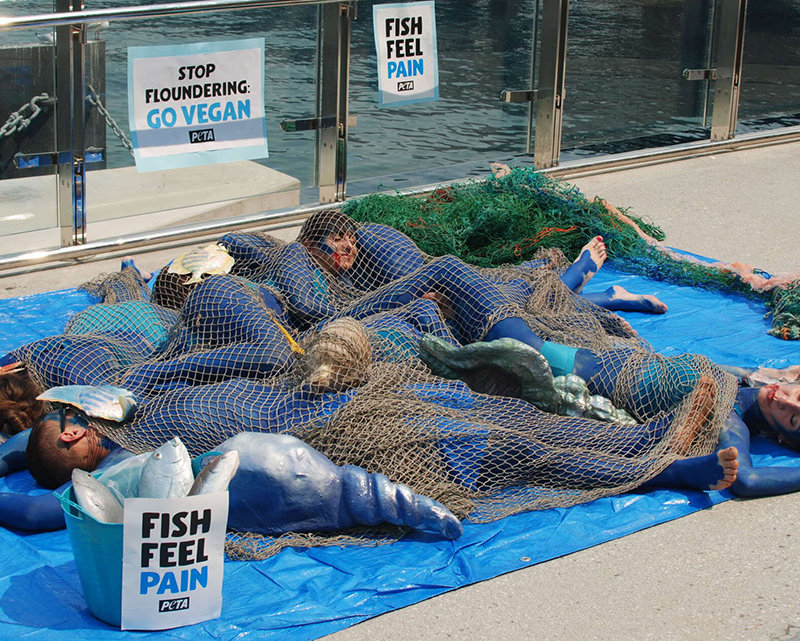 Protesters ask people to leave animals off their plates this Christmas.