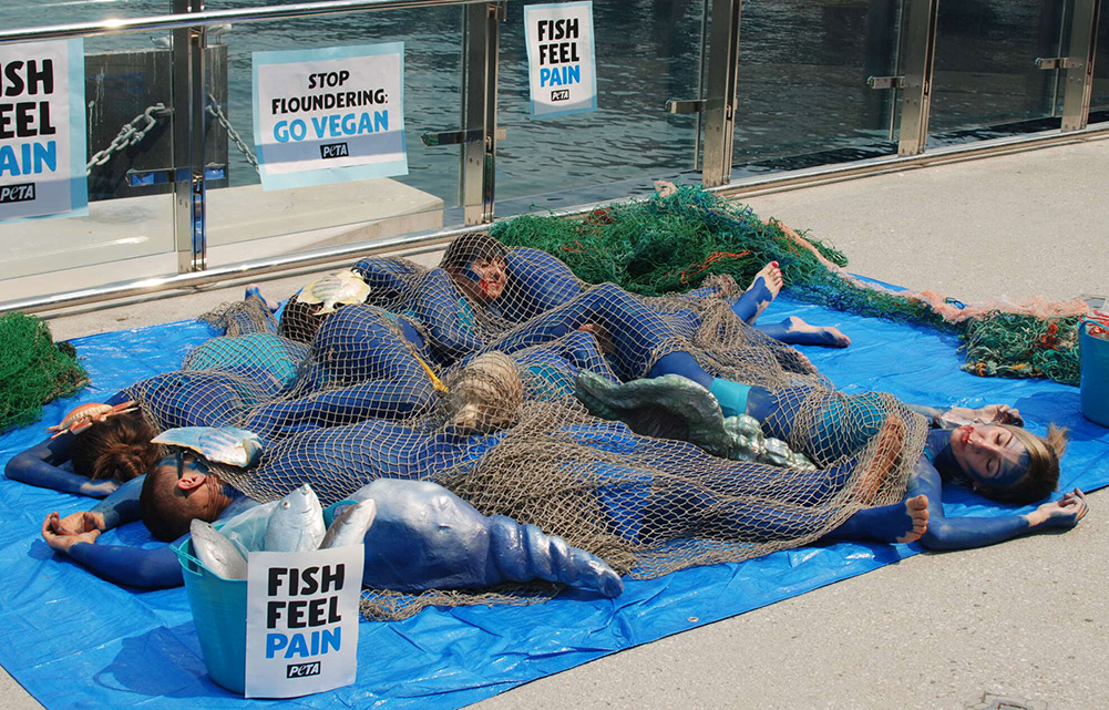 Protesters ask people to leave animals off their plates this Christmas.