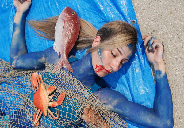 Netted ‘Dead Fish’ in Sydney Protest Christmas Seafood