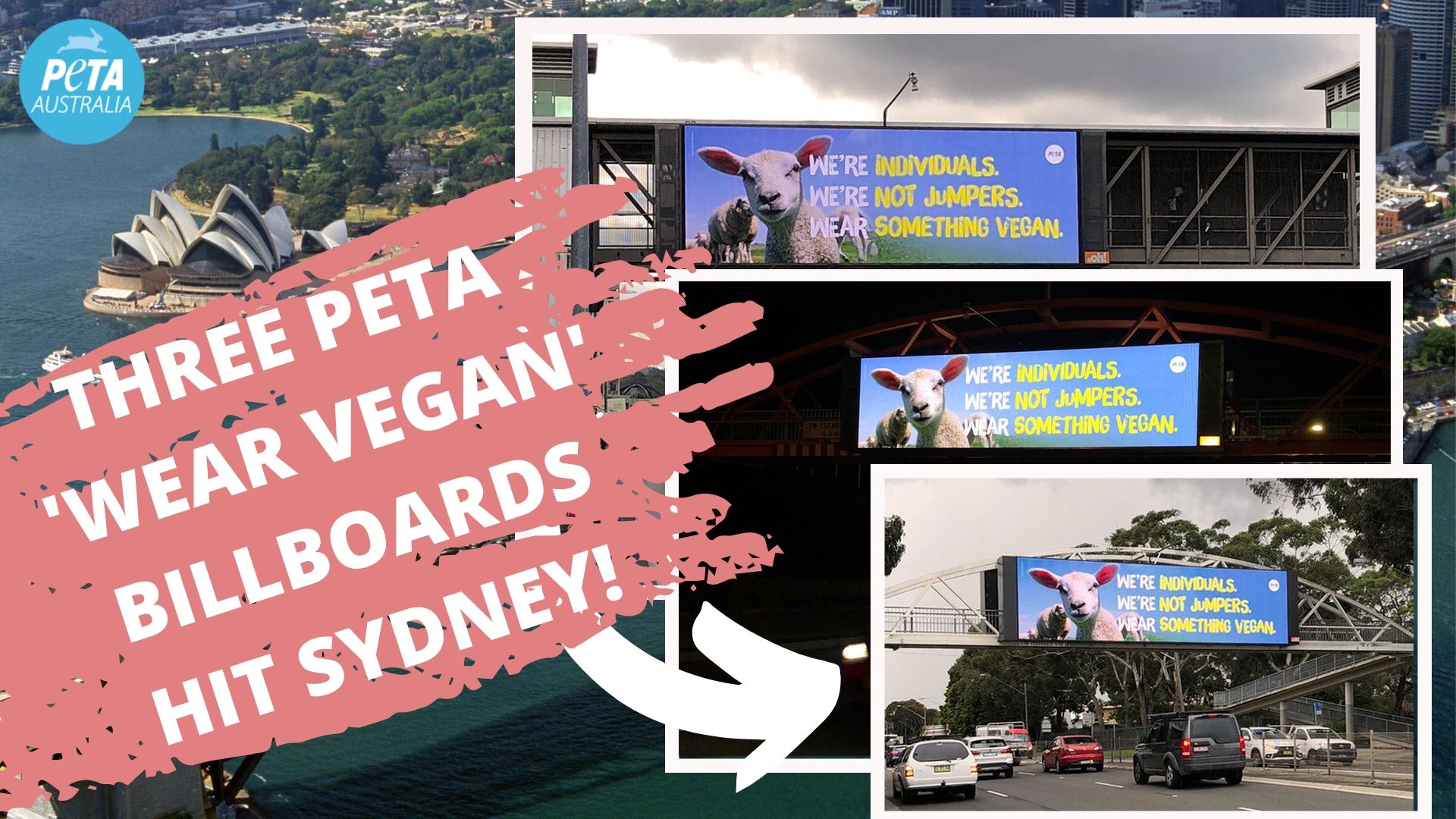 A collage of the three PETA billboards in Sydney which say "We're Individuals, We're Not Jumpers, Wear Something Vegan."