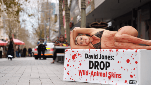 PETA Protests David Jones’ Sales of Wild-Animal Skins