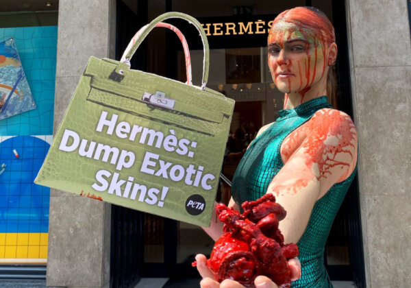 Tash Peterson drenched herself in “blood” and “guts” from a “Birkin bag” in front of Hermès’ flagship London store.