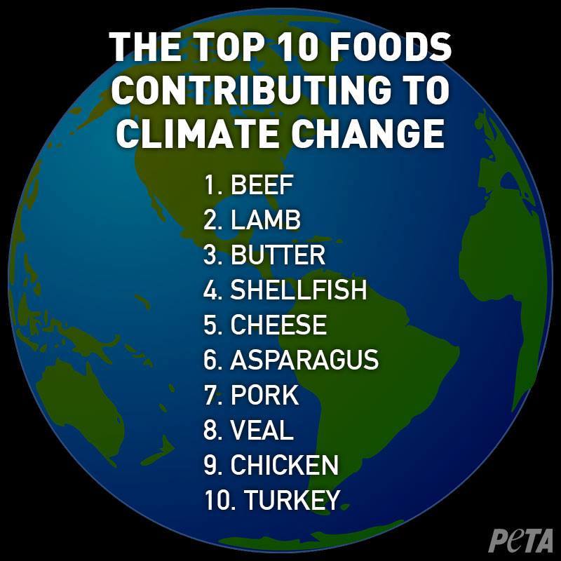 The Top 10 Foods Contributing to Climate Change