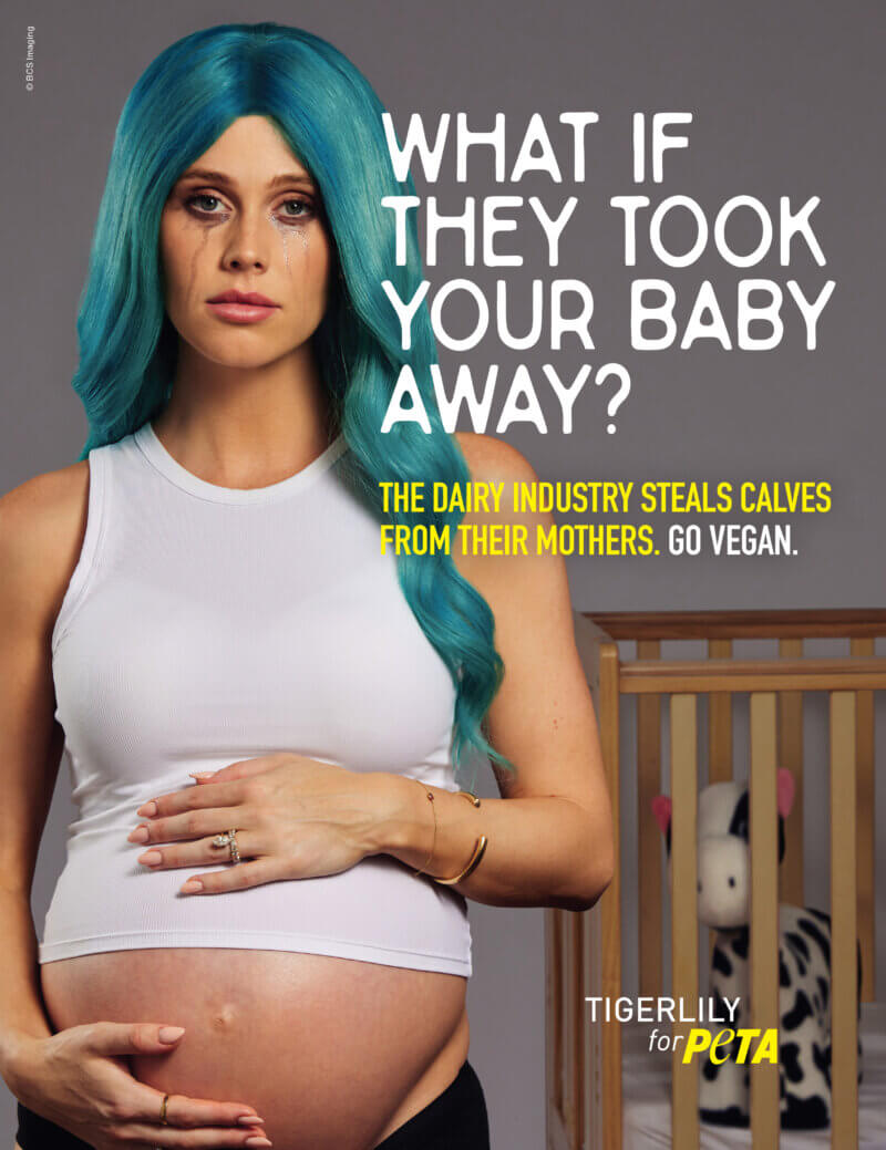 Dara Lawson stands in front of a cot with tears running down her face in the latest PETA campaign. Text reads "what if they took your baby away?"