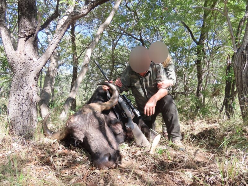 Image shows a Dutch doctor and his wife with a slaughtered buffalo