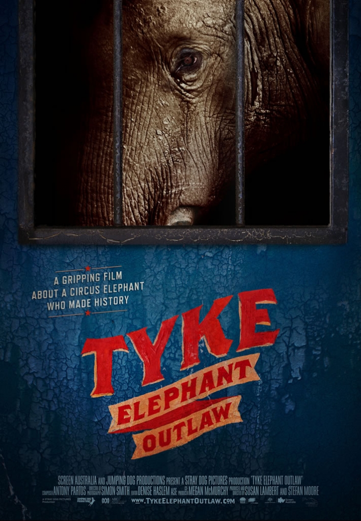 A Must-See Film: ‘Tyke Elephant Outlaw’