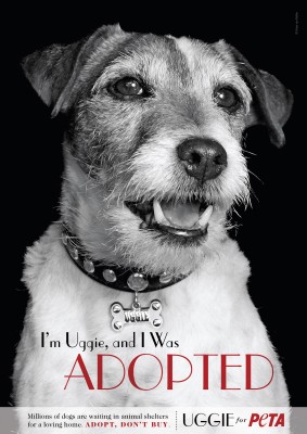 uggie peta ad