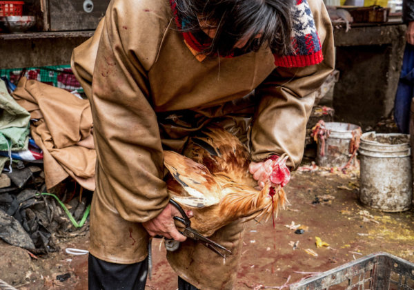 A photo of a wet market in Anhui, China.