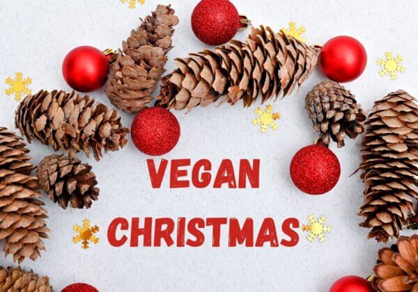 How to Create a Vegan Feast This Christmas