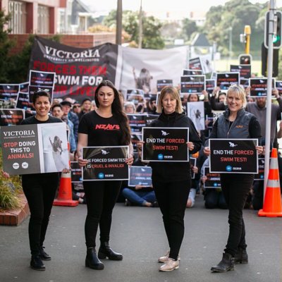 Forced Swim Test Protest