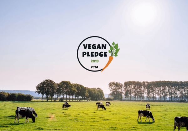 Go Vegan for 2019!