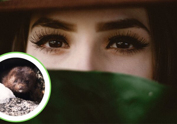 Victory! Velour Bans Mink-Fur Eyelashes After PETA Push