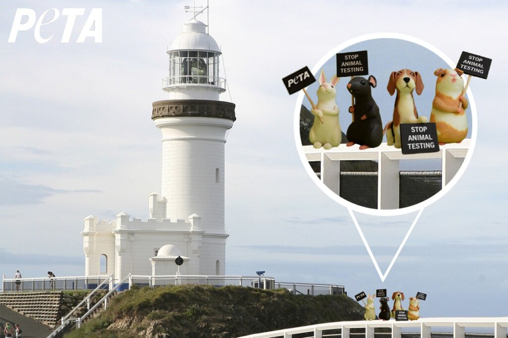 Image shows small toy animals holding protest signs on city background.