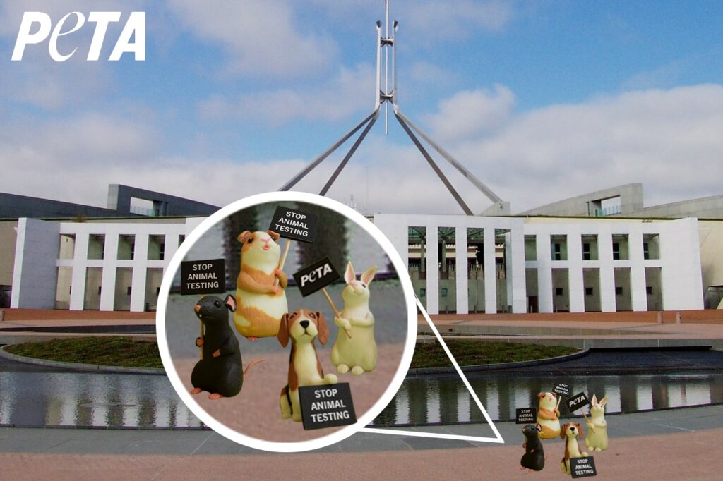 Image shows small toy animals holding protest signs on city background.