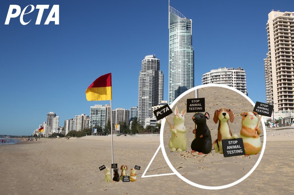 Image shows small toy animals holding protest signs on city background.