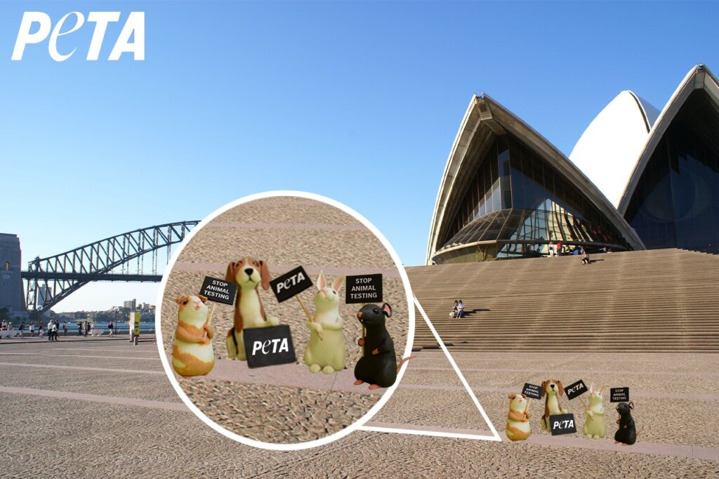 Image shows small toy animals holding protest signs on city background.