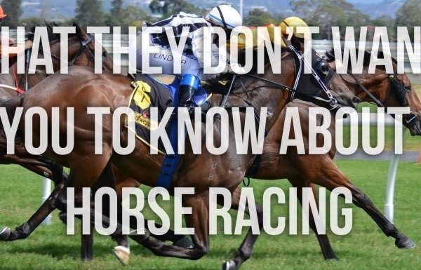 Melbourne Cup: 10 Things You Need to Know About Horse Racing