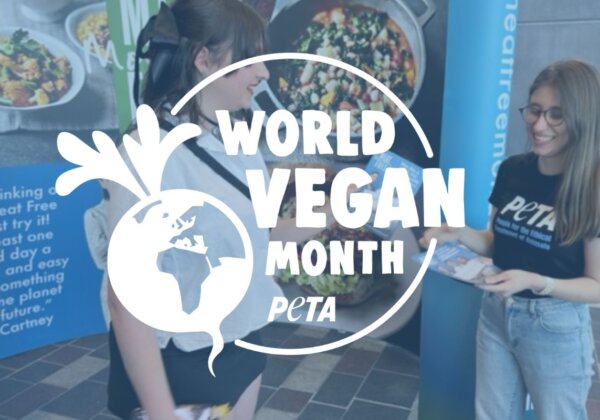 World Vegan Month Is Not (Just) About Food