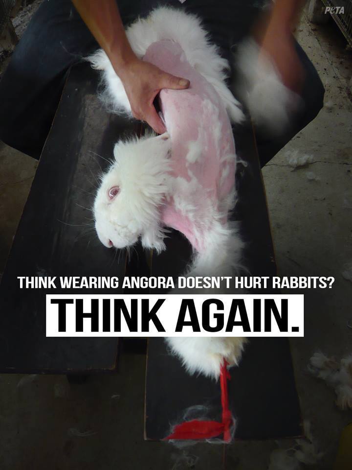 angora hurts