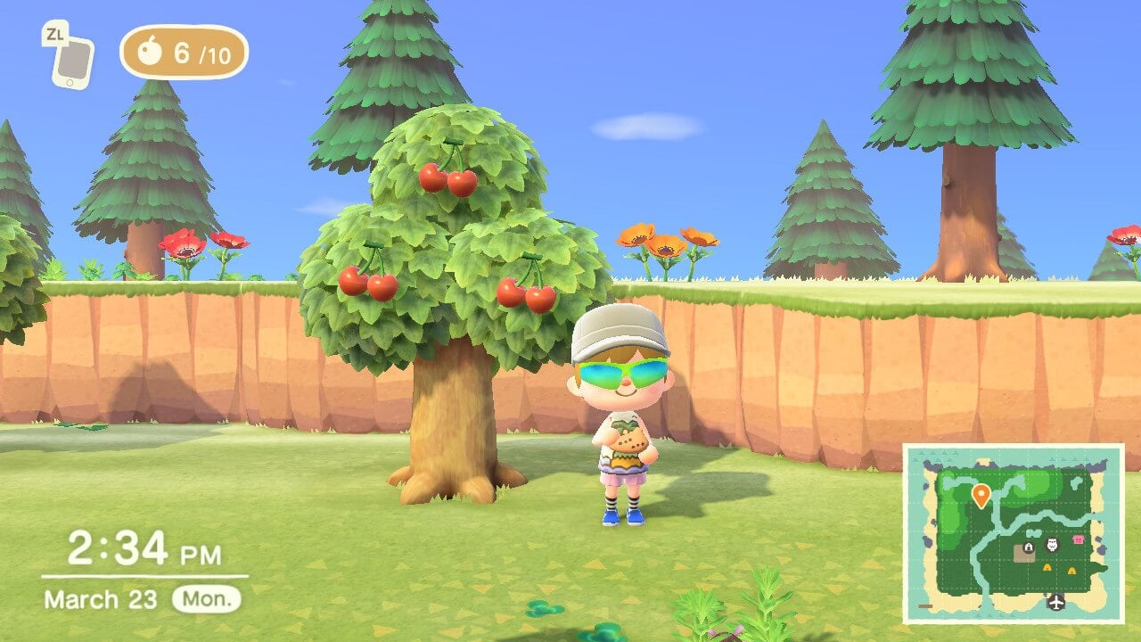 An image from Animal Crossing